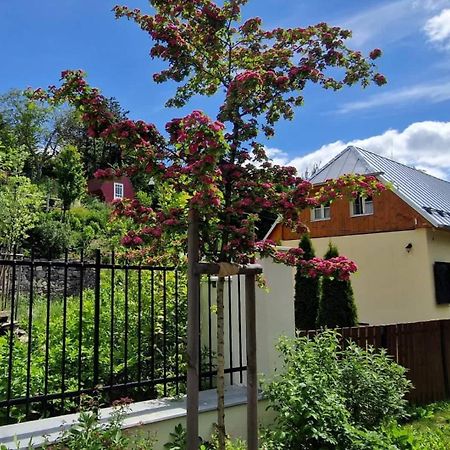 Siglisberg Vila Banská Štiavnica Exterior foto