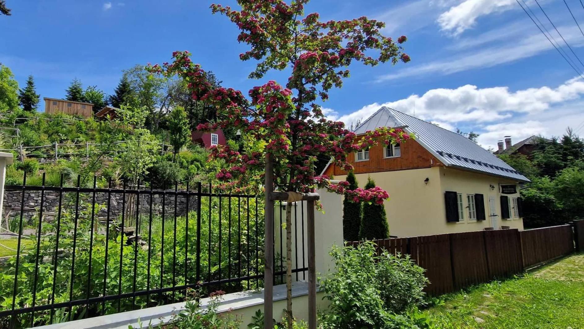 Siglisberg Vila Banská Štiavnica Exterior foto